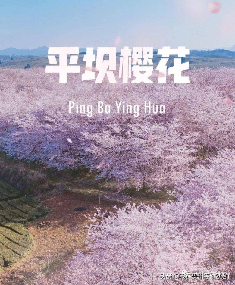 有哪些食品有助睡眠？游戏画面